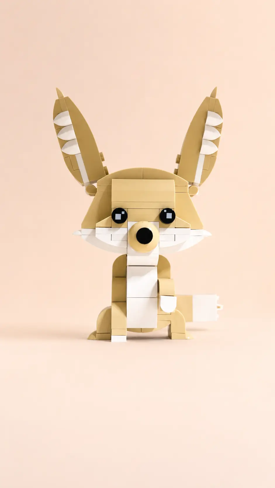 Fennec moc seen in front on pink background