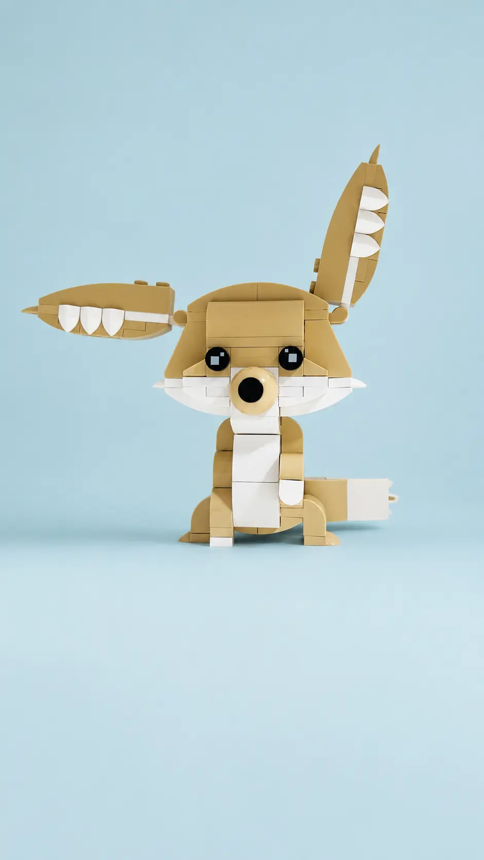 Fennec moc seen in front on turquoise background